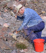 Mineralsök på Odalfältet
